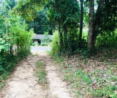 Prime Land for Sale on MoneragalandashAmpara Road Facing Main Road - 2