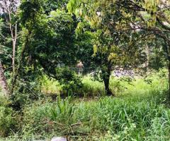Prime Land for Sale on MoneragalandashAmpara Road Facing Main Road - 3