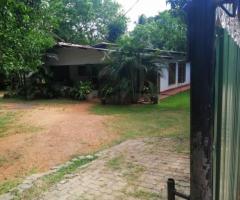 Prime 53 Perch Land for Sale on Airport Road Anuradhapura Flat amp Ready to Build