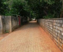 Prime 53 Perch Land for Sale on Airport Road Anuradhapura Flat amp Ready to Build - 3