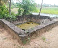 Urgent Sale 4Acre Productive Paddy Field in Hidogama Anuradhapura