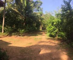 Urgent Sale Prime Land Bordering Dambulla Town Ideal for Development