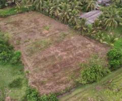 Urgent Sale 80 Perch Land for Sale Near Gonapola Junction Horana Excellent Investment Opportunity - 3