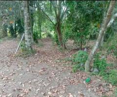Exclusive 1540 Perch Land for Sale in Hokandara Facing AthurugiriyaMalabe Main Road - 2