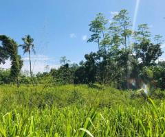 Urgent Sale Expansive 191 Perch Land in Beligaswella Aluthgama Road Elpitiya