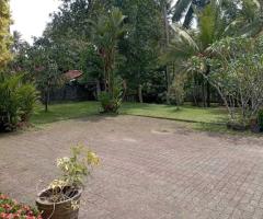 Large House for Sale in Pasyala on 60 Perches An Excellent Investment Opportunity