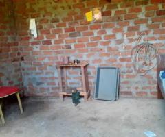 Broiler Farm with Land amp House for Sale in Aralaganwila Polonnaruwa - 3