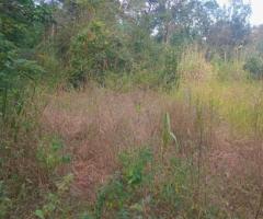 Prime HalfAcre Land for Sale in Hurulu Nikawewa Galenbidunuwewa Ideal for Home or Business - 2
