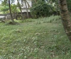 🌟 THE BEST DEAL IN TOWN! Prime 135 Perch Flat Land for Sale in Ganemulla Town! 🌟 - 6