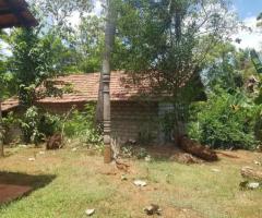 🔥 Quarter-Acre Land with Two Houses for Sale in Weeraketiya, Ranna - Urgent Sale! 🏡