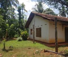 🔥 Quarter-Acre Land with Two Houses for Sale in Weeraketiya, Ranna - Urgent Sale! 🏡 - 2