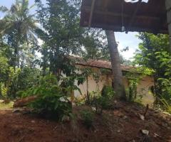 🔥 Quarter-Acre Land with Two Houses for Sale in Weeraketiya, Ranna - Urgent Sale! 🏡 - 3