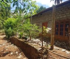 🔥 Quarter-Acre Land with Two Houses for Sale in Weeraketiya, Ranna - Urgent Sale! 🏡 - 7