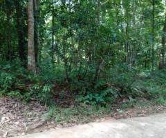 📢 Prime 131 Perch Land for Sale in Wattegama - Facing a Scenic Paddy Field! 🏡✨ - 2