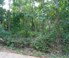 📢 Prime 131 Perch Land for Sale in Wattegama - Facing a Scenic Paddy Field! 🏡✨ - 3