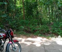 📢 Prime 131 Perch Land for Sale in Wattegama - Facing a Scenic Paddy Field! 🏡✨ - 5