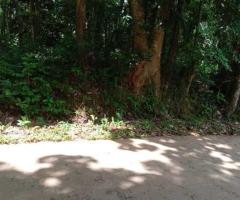 📢 Prime 131 Perch Land for Sale in Wattegama - Facing a Scenic Paddy Field! 🏡✨ - 6