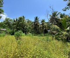 🌿 Prime 40 Perch Land for Sale in Jayasiripura, Anuradhapura - Near Malwathu Oya! 🌴 - 2