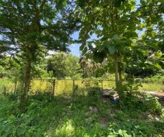 🌿 Prime 40 Perch Land for Sale in Jayasiripura, Anuradhapura - Near Malwathu Oya! 🌴 - 3