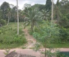 🚀 Prime 91.4 Perch Land in Udupitiya, Kalutara South - Near Future Highway Interchange! 🛣️