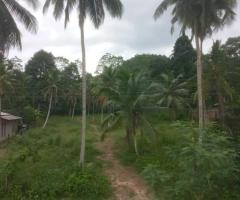 🚀 Prime 91.4 Perch Land in Udupitiya, Kalutara South - Near Future Highway Interchange! 🛣️ - 3