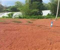 🏞️ Prime 17 Perch Land for Sale in Uggalboda, Kalutara - Bordering Kalu Ganga! 🌊🏡 - 4