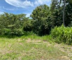 🏡 Prime 160 Perch Bare Land for Sale in Malkaduwawa, Kurunegala - Ideal for Luxury Projects! 🌳✨