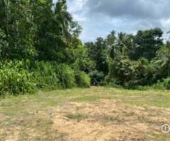 🏡 Prime 160 Perch Bare Land for Sale in Malkaduwawa, Kurunegala - Ideal for Luxury Projects! 🌳✨ - 3