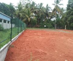 🌳 25.6 Perch Land for Sale in Mahawa Town! 🏡