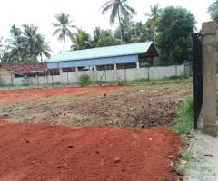 🌳 25.6 Perch Land for Sale in Mahawa Town! 🏡 - 2