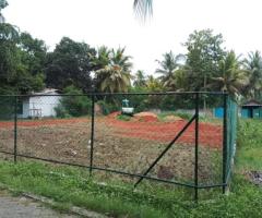 🌳 25.6 Perch Land for Sale in Mahawa Town! 🏡 - 3
