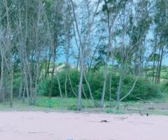 Land sale in Arugambay East coast - 2