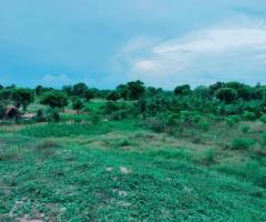 Land sale in Arugambay East coast - 3