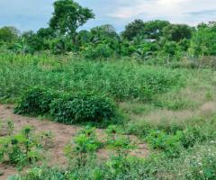 Land sale in Arugambay East coast - 5