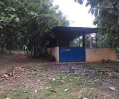 🏖️ Prime Land for Sale in Hiriketiya - Just 100m to the Beach! 🌊 Investment Opportunity! ✨ - 5