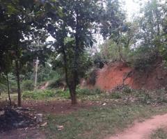 🏖️ Prime Land for Sale in Hiriketiya - Just 100m to the Beach! 🌊 Investment Opportunity! ✨ - 7