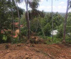 🏖️ Prime Land for Sale in Hiriketiya - Just 100m to the Beach! 🌊 Investment Opportunity! ✨ - 8