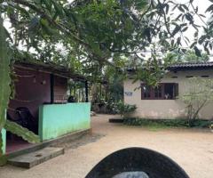 🌳 28 Perch Land for Sale in Ingiriya - Closest to Panadura-Ratnapura Main Road! 🏡 - 2