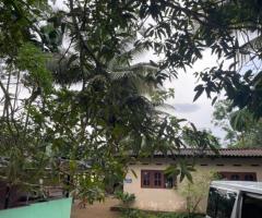 🌳 28 Perch Land for Sale in Ingiriya - Closest to Panadura-Ratnapura Main Road! 🏡 - 4