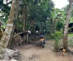 🌳 28 Perch Land for Sale in Ingiriya - Closest to Panadura-Ratnapura Main Road! 🏡 - 5