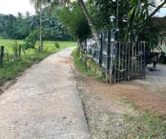 🌳 28 Perch Land for Sale in Ingiriya - Closest to Panadura-Ratnapura Main Road! 🏡 - 9