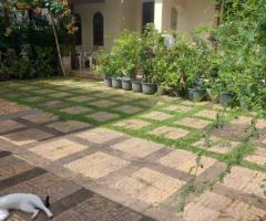 🏡 Valuable House and Land for Sale in Gonawala, Kelaniya, Gampaha District! ✨ - 7