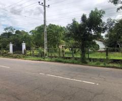 🚨 Urgent Sale: Prime 260 Perch Land with Two Houses on Colombo-Puttalam Road! 🌴🏡 - 3
