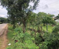 🚨 Urgent Sale: Prime 260 Perch Land with Two Houses on Colombo-Puttalam Road! 🌴🏡 - 4