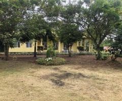 🚨 Urgent Sale: Prime 260 Perch Land with Two Houses on Colombo-Puttalam Road! 🌴🏡 - 5