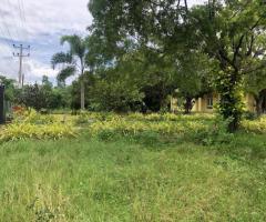 🚨 Urgent Sale: Prime 260 Perch Land with Two Houses on Colombo-Puttalam Road! 🌴🏡 - 6