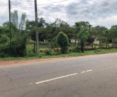 🚨 Urgent Sale: Prime 260 Perch Land with Two Houses on Colombo-Puttalam Road! 🌴🏡 - 9