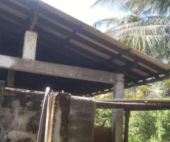 🏭 Business Opportunity! Cinnamon Leaf Oil Boiler Factory for Sale in Karamatiya, Walasmulla! 🌿💰 - 2