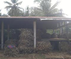 🏭 Business Opportunity! Cinnamon Leaf Oil Boiler Factory for Sale in Karamatiya, Walasmulla! 🌿💰 - 6