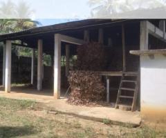 🏭 Business Opportunity! Cinnamon Leaf Oil Boiler Factory for Sale in Karamatiya, Walasmulla! 🌿💰